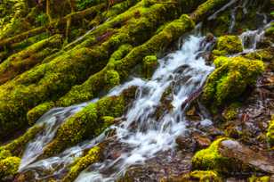 Proxy Falls-0210.jpg